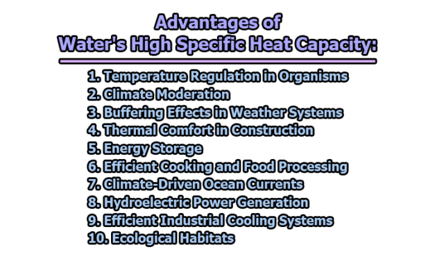 Advantages of Water’s High Specific Heat Capacity