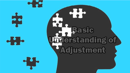 Basic Understanding of Adjustment: Definitions, Importance, Characteristics, Process, and Areas