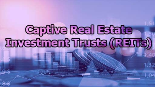Captive Real Estate Investment Trusts (REITs)
