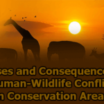 Causes and Consequences of Human-Wildlife Conflict in Conservation Areas