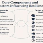 Core Components and Factors Influencing Resilience