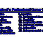 Determinants of a Professional Career in Tourism