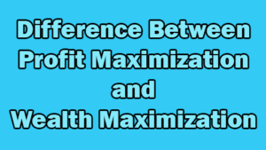 Difference Between Profit Maximization And Wealth Maximization