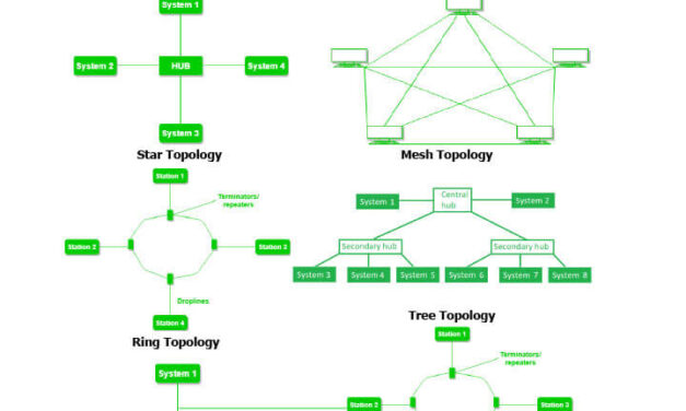 Network Topology | Different Types of Network Topology