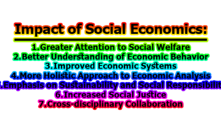 Social Economics | Impact of Social Economics