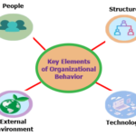 Key Elements of Organizational Behavior