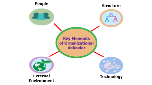 Key Elements of Organizational Behavior