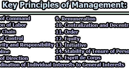 Key Principles of Management