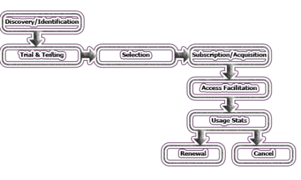 Life Cycle of Electronic Information Resources