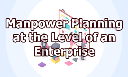 Manpower Planning at the Level of an Enterprise
