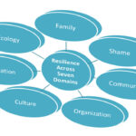 Resilience Across Seven Domains