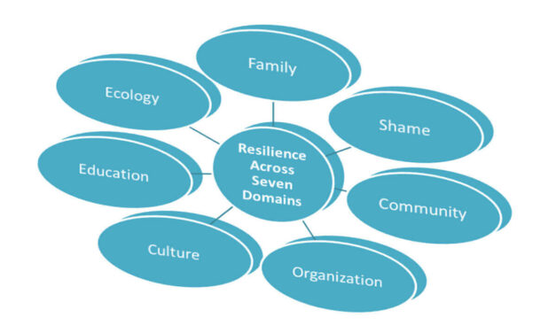 Resilience Across Seven Domains