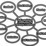 Self-regulation Components of Strategic Learning