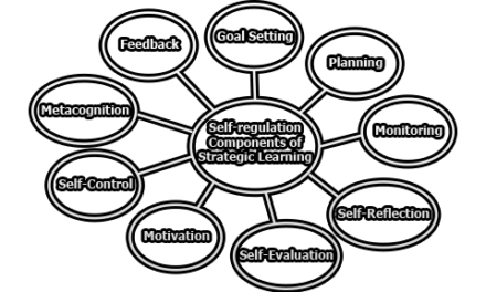 Self-regulation Components of Strategic Learning