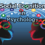 Social Cognition in Psychology