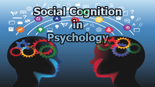 Social Cognition in Psychology