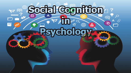 Definition Of Social Cognition Archives Library Information Management Definition Of Social Cognition Archives Library Information Management