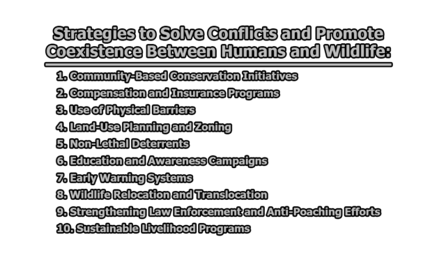 Strategies to Solve Conflicts and Promote Coexistence Between Humans and Wildlife