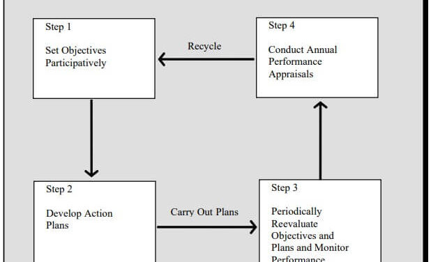 The Management by Objectives (MBO) Cycle