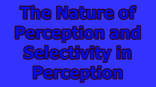 The Nature of Perception and Selectivity in Perception