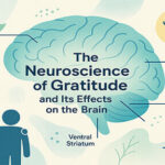 The Neuroscience of Gratitude and Its Effects on the Brain