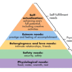 Basic Concept of Self-actualization