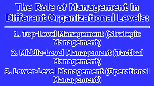 The Role of Management in Different Organizational Levels